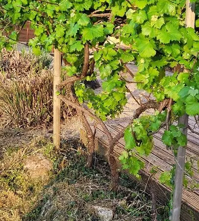 Penzion La Boissiere, Le Domaine De Brugal Carsac-Aillac